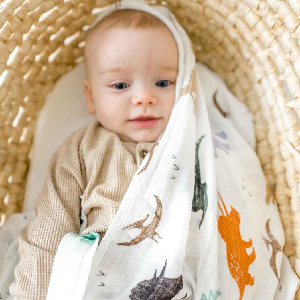 Dinosaur Bamboo Muslin Swaddle
