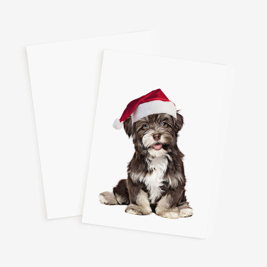 Dog Greeting Card/Envelope | Havanese