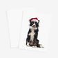 Dog Greeting Card/Envelope | Collie